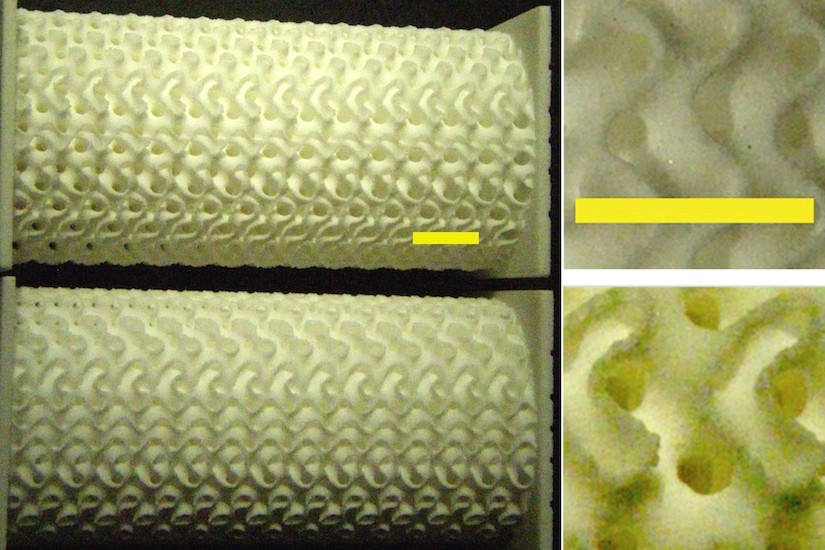 A gyroid lattice created by Professor Roderic Lakes using 3D printing